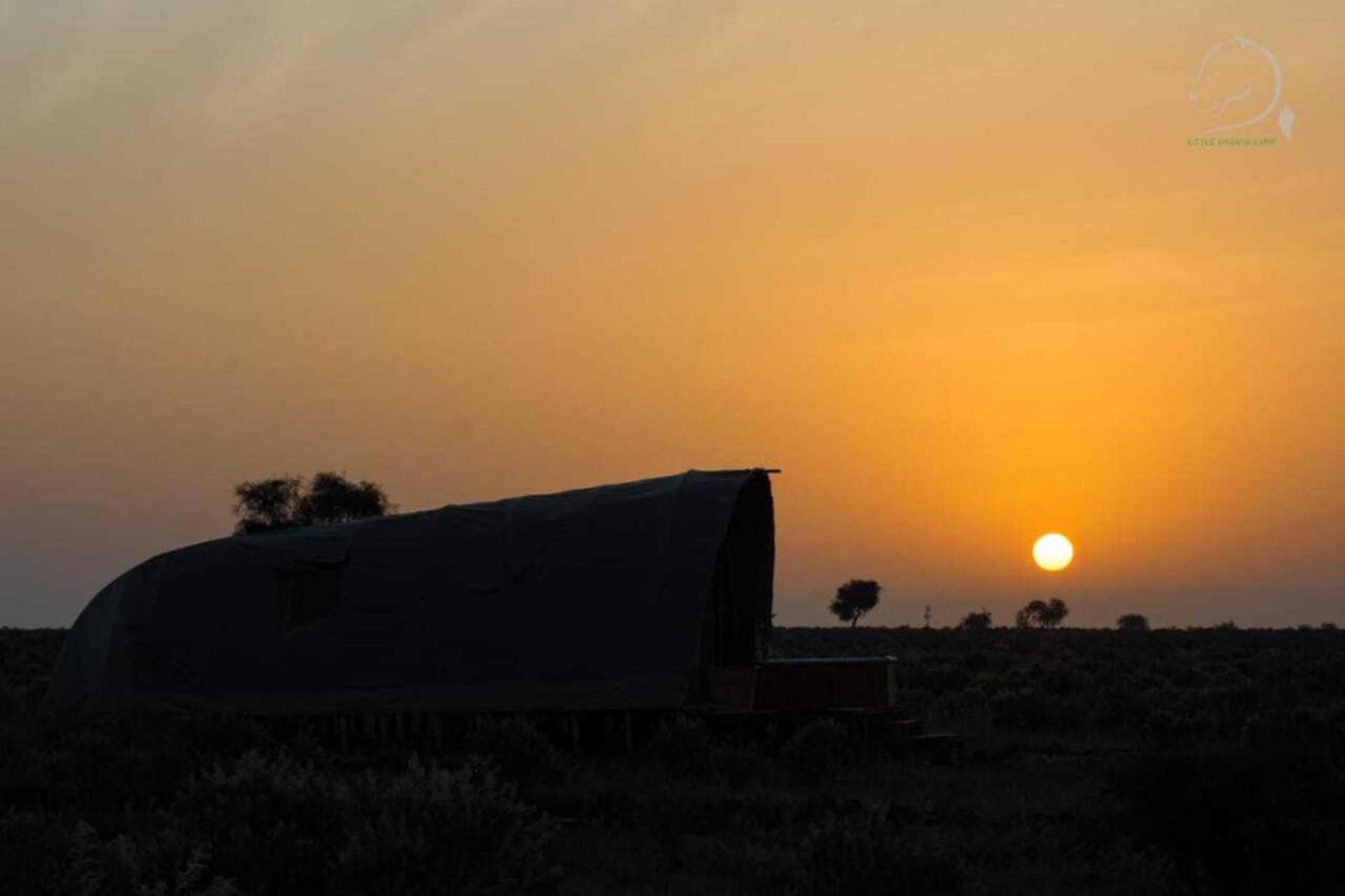 Amanya 2-Rooms Lioness Family Amboseli Exterior photo